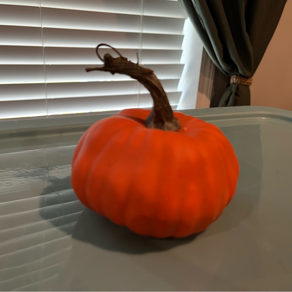 Vibrant Orange Decorative Pumpkin